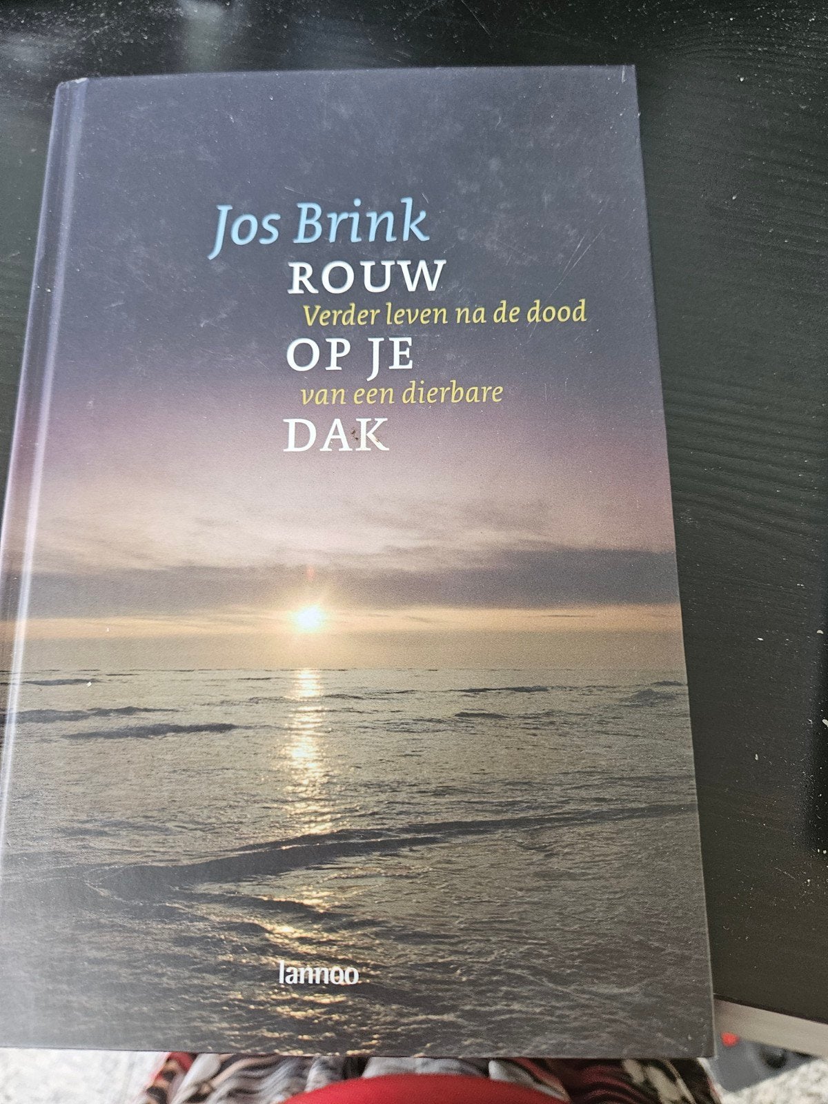 Rouw op je dak - Verder leven na de dood, Ophalen of Verzenden, Gelezen
