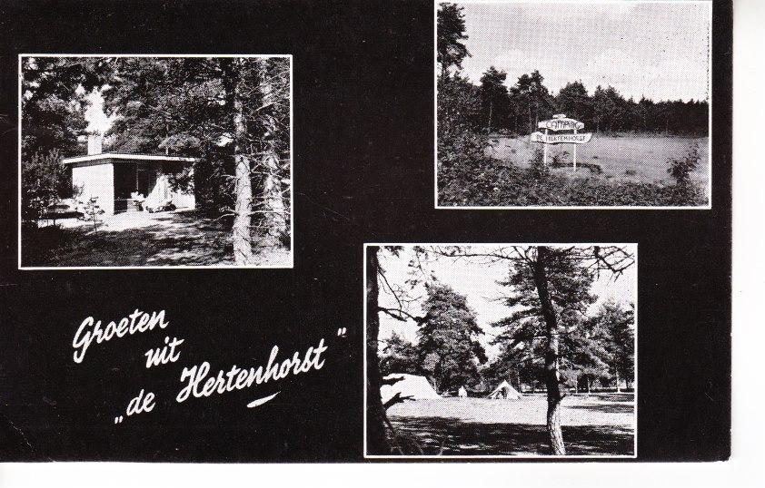BEEKBERGEN,- Kampeercentrum,,De Hertenhorst'' 06-05, Ophalen of Verzenden, 1960 tot 1980, Gelopen, Gelderland