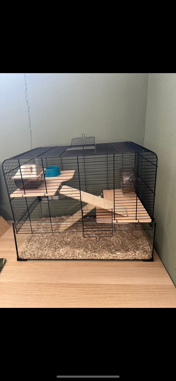Nieuwe glazen hamsterkooi, Dieren en Toebehoren, Kooi, Minder dan 75 cm, Zo goed als nieuw, Ophalen