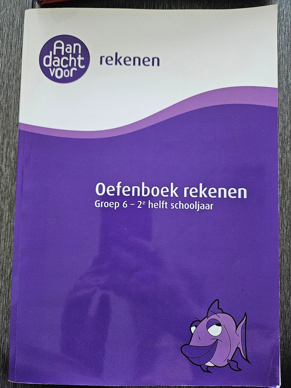 Rekenboek groep 6 handig voor cito toetsen, Boeken, Schoolboeken, Ophalen of Verzenden, Zo goed als nieuw, Overige niveaus, Nederlands