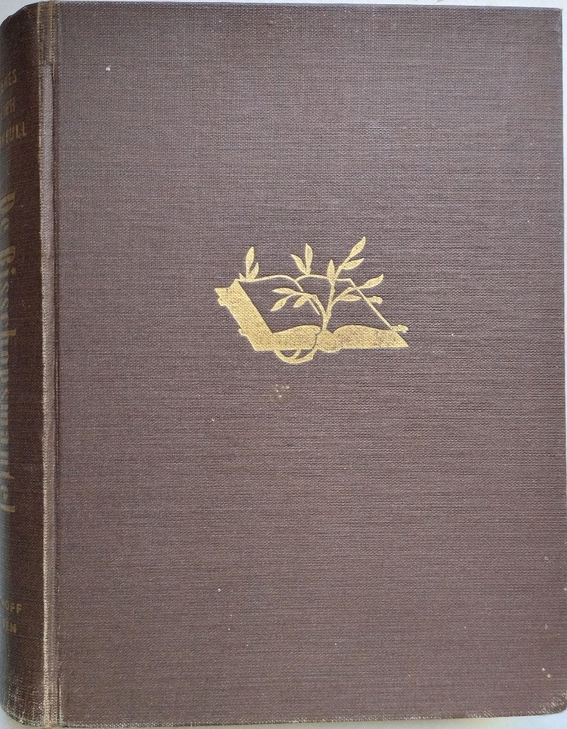De Bisschopsmantel - Roman van een Pastorie in Amerika, Verzenden, Gelezen, Agnes Sligh Turnbull