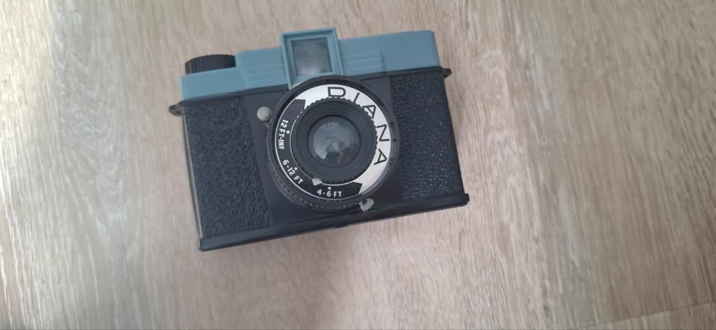 Diana analoge fotocamera, Ophalen of Verzenden
