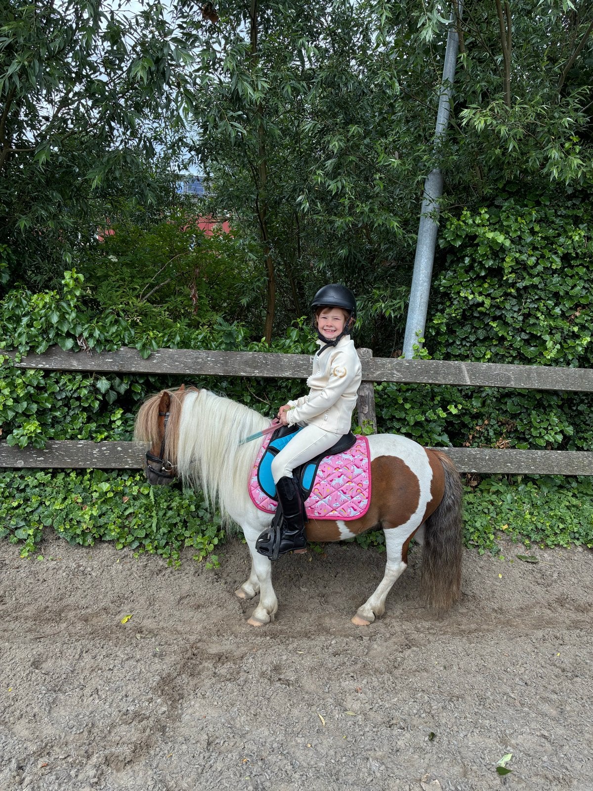 Verzorg pony GEZOCHT, Ophalen of Verzenden