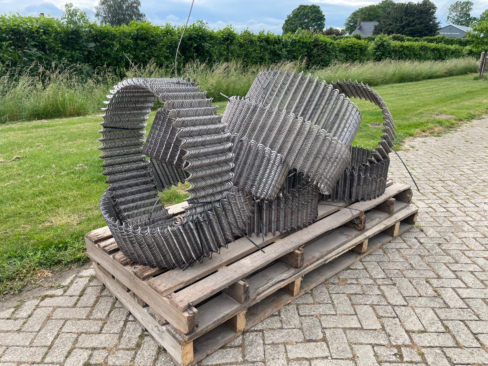 Spiraalvijzel, Dieren en Toebehoren, Ophalen of Verzenden
