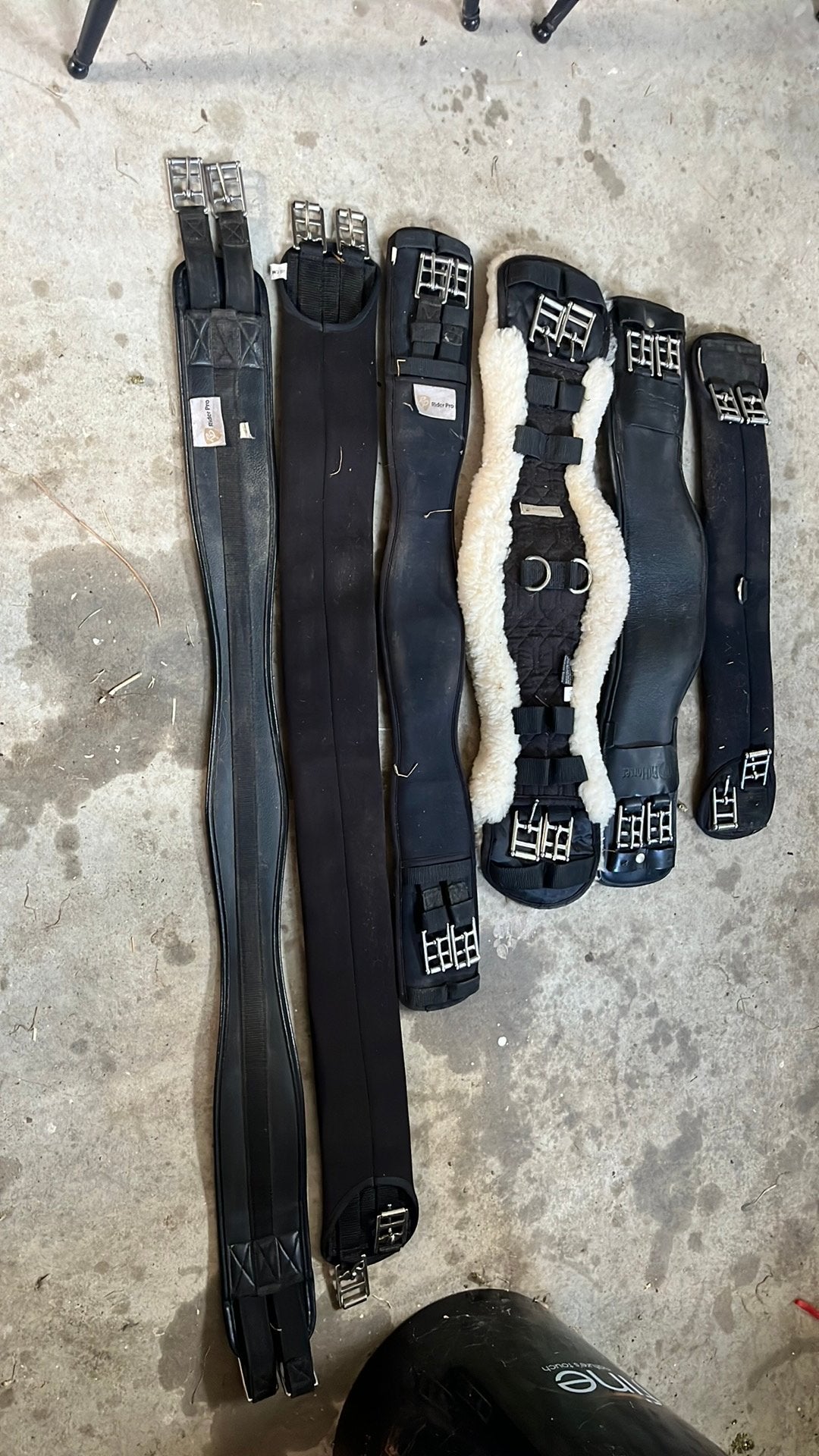 Singels, Dieren en Toebehoren, Anatomisch gevormd, Ophalen of Verzenden, Singel, Dressuur