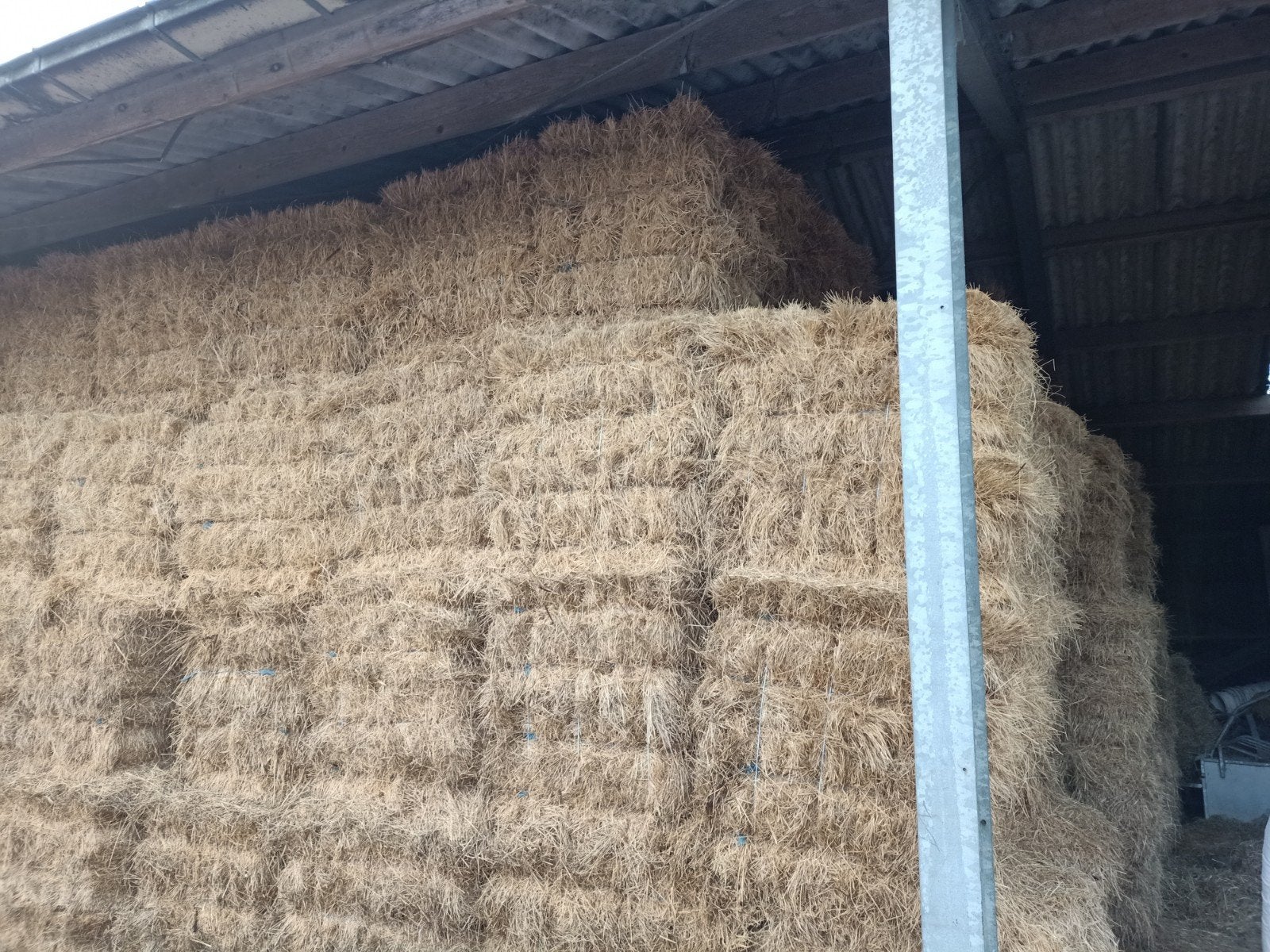 Rustig, structuurrijk hooi voor volwassen paarden of pony’s, Ophalen of Verzenden