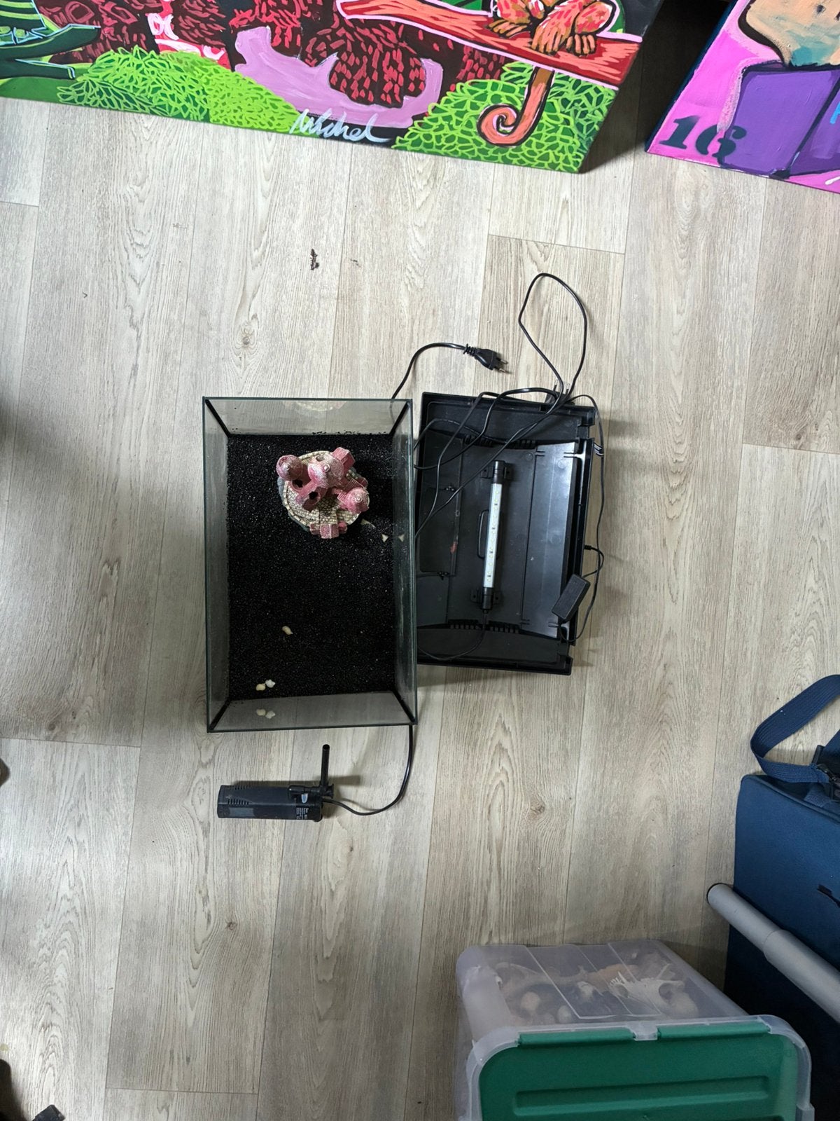Aquarium, Ophalen of Verzenden, Zo goed als nieuw, Leeg aquarium