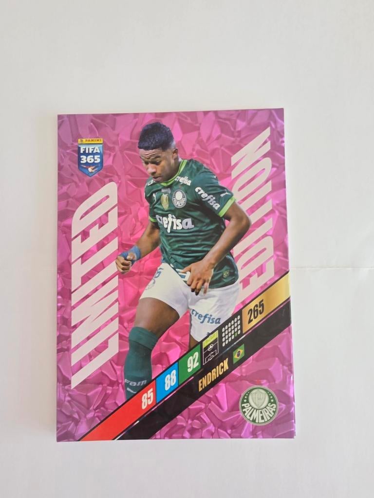 Panini FIFA 365 Limited Edition Endrick (grote kaart), Ophalen of Verzenden