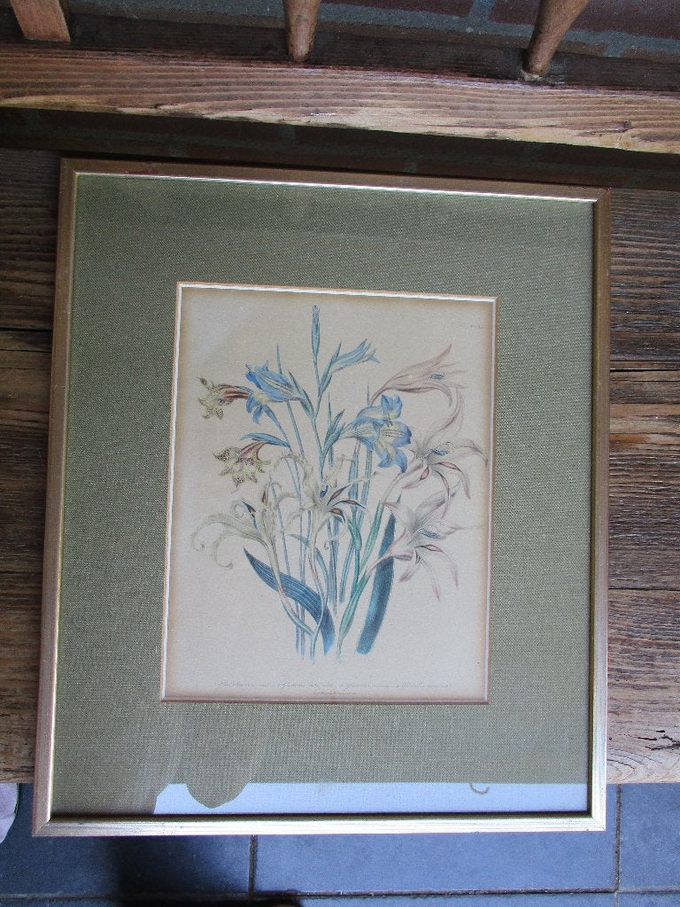 Lithografie van Loudon, Antiek en Kunst, Kunst | Schilderijen | Klassiek, Bloemen, Verzenden, Klassiek, Papier