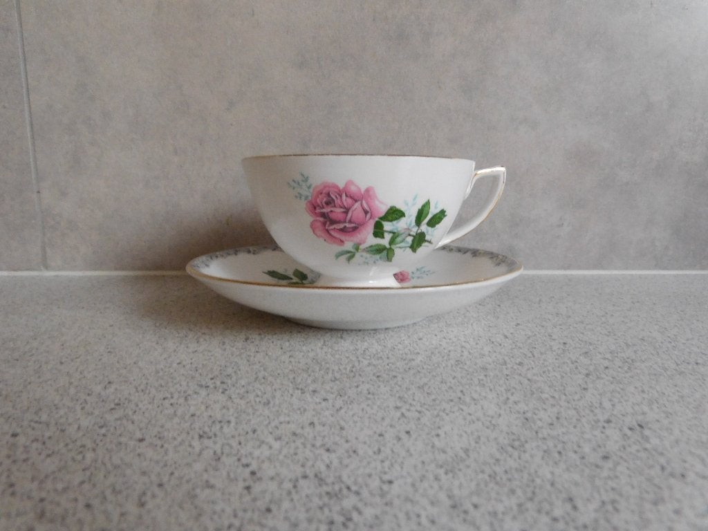 Kop en schotel Fine Bone China Rozen Royal Park, Huis en Inrichting, Keuken | Servies, Overige merken, Ophalen of Verzenden, Zo goed als nieuw