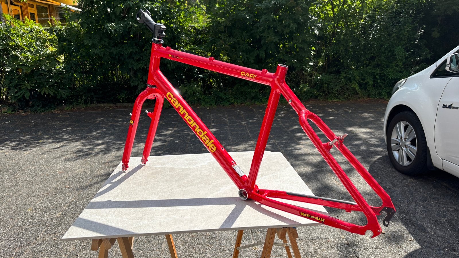 Cannondale M800 CAD2 Beast of the East Fietsframe, Frame, Gebruikt, Verzenden, Aluminium