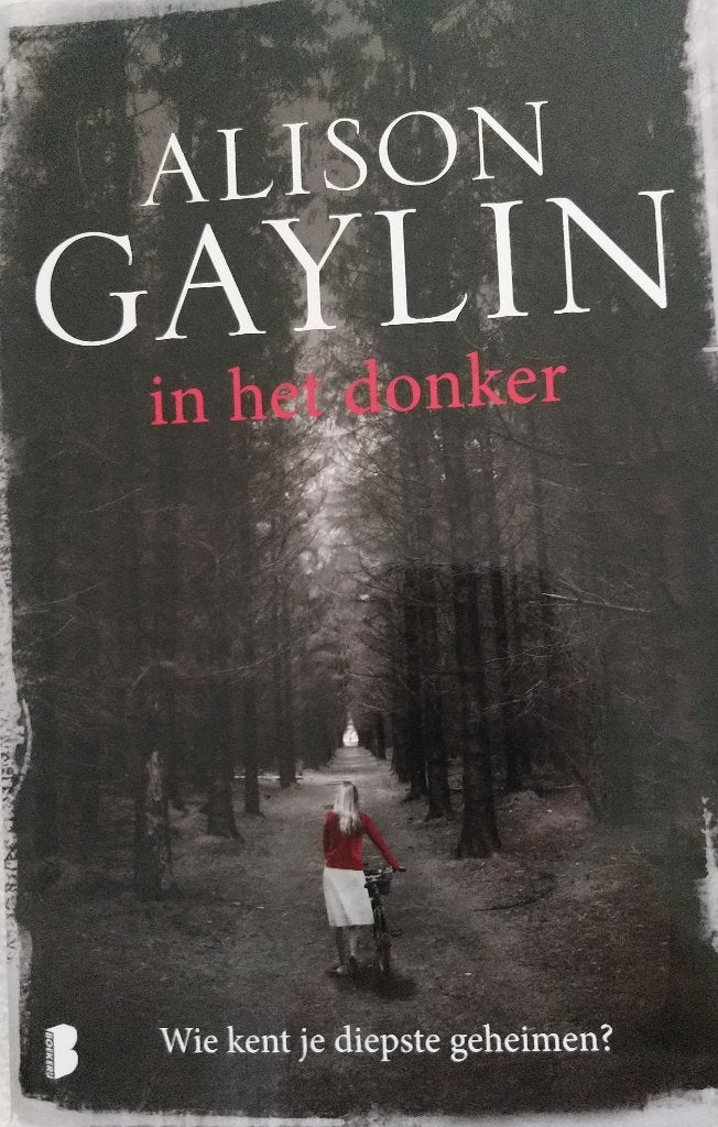 Boek In het donker Alison Graylin, Gelezen, Ophalen of Verzenden, Alison Graylin, Amerika