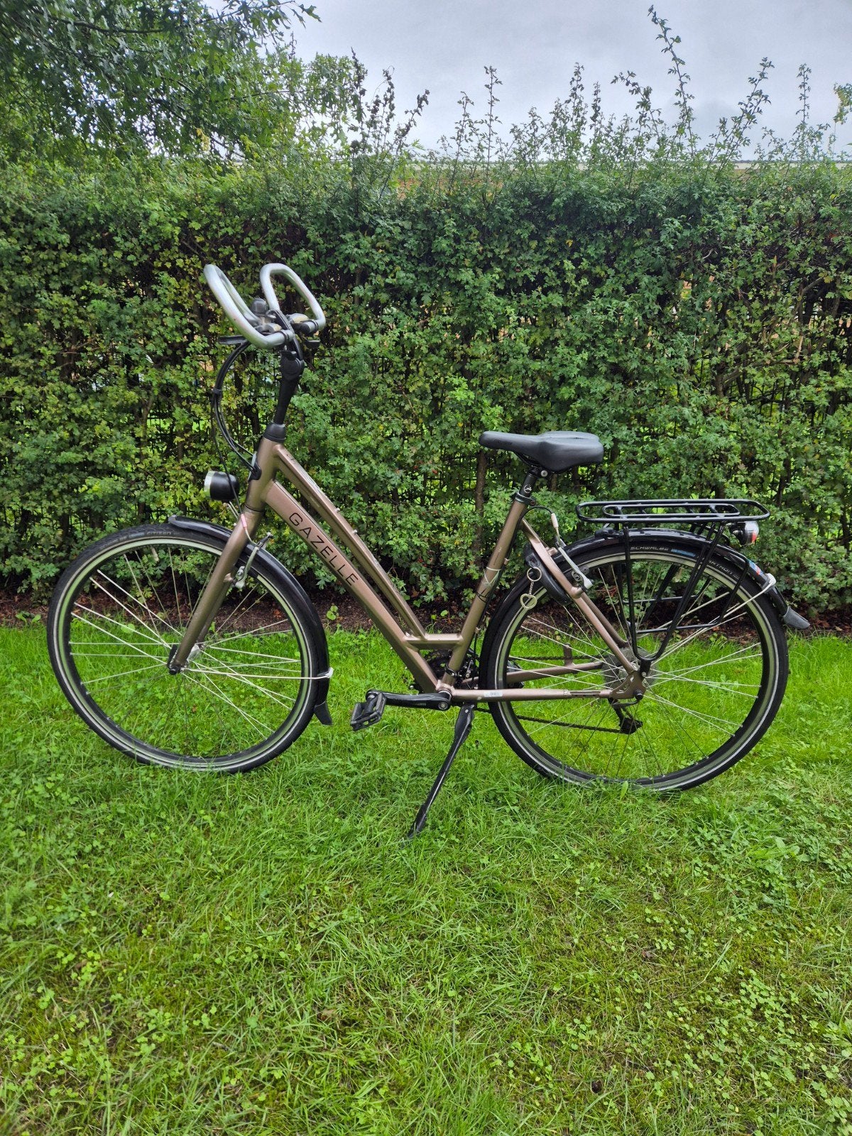 Gazelle Chamonix DamesFiets   Alles werkt prima  53 cm, Fietsen en Brommers, Ophalen, Versnellingen, Gazelle, 53 tot 56 cm