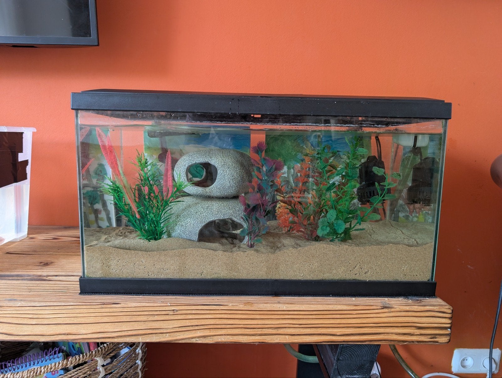 Aquarium met toebehoren te koop, Ophalen, Zo goed als nieuw, Leeg aquarium