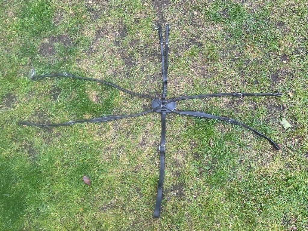 Vijfpunts borsttuig paard, kleur zwart. €20, Ophalen of Verzenden