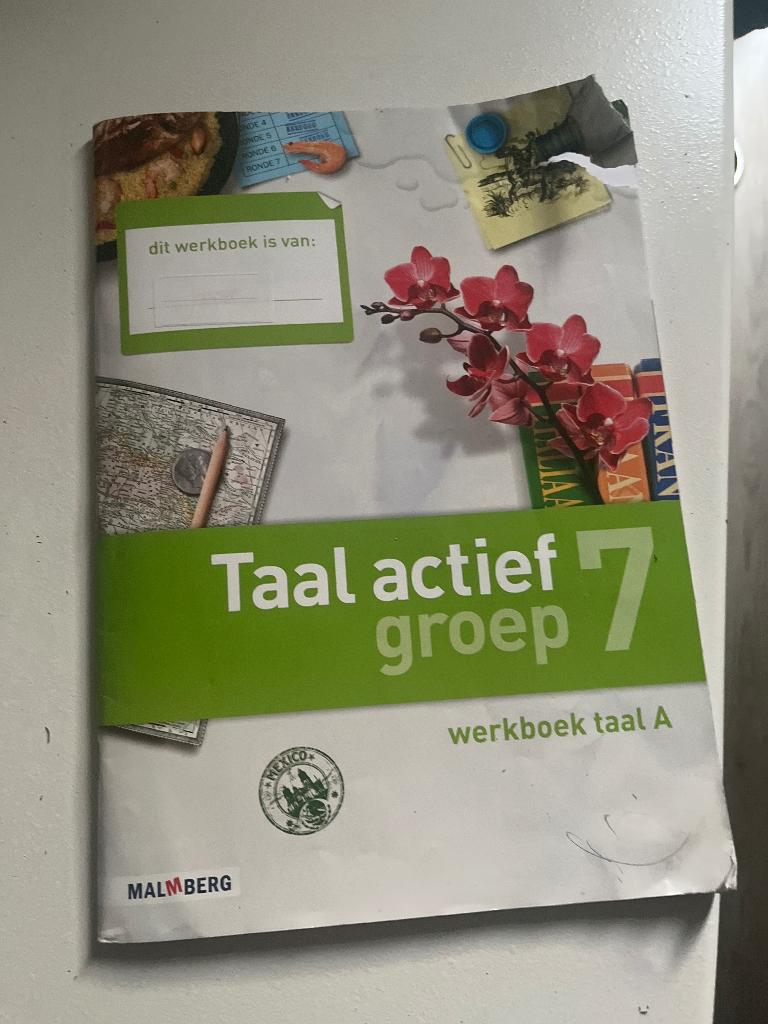 Taal actief groep 7 werkboek taal A, Ophalen, Gelezen, Overige niveaus, Overige vakken