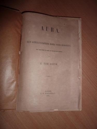 J.ter Gouw - Aura 1873, Antiek en Kunst, Ophalen of Verzenden