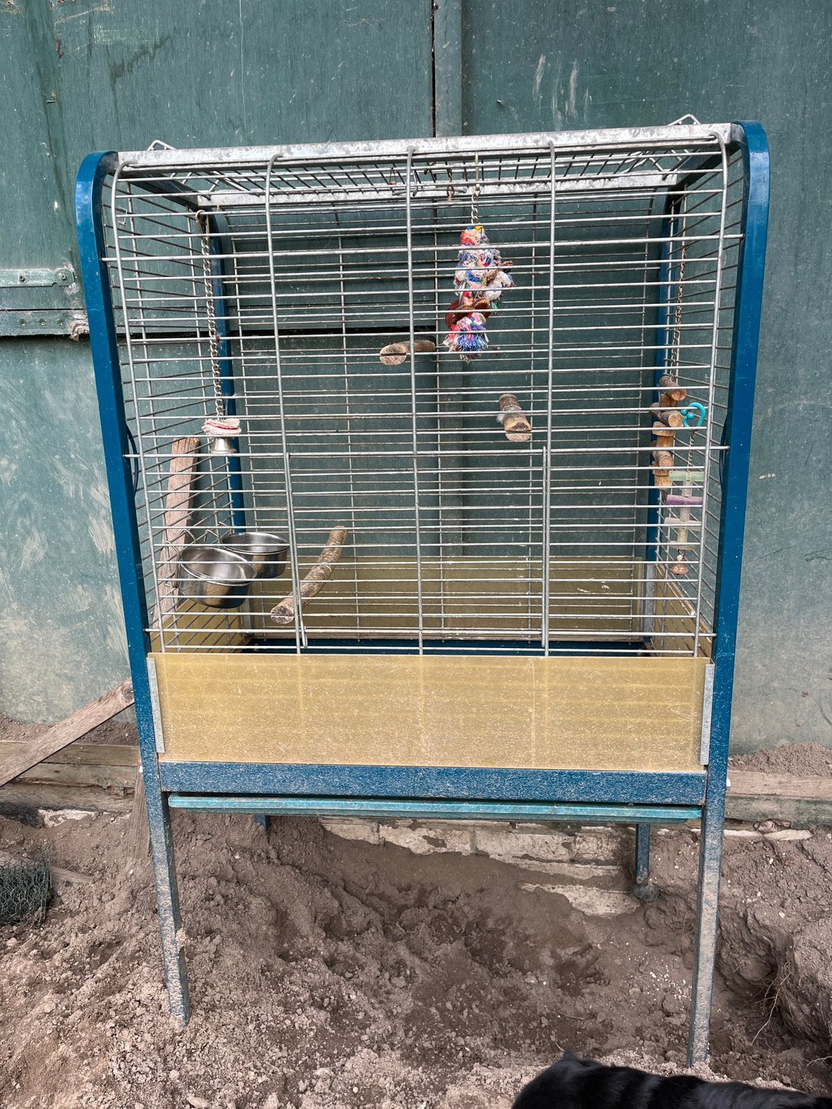 Papegaaien kooi, Dieren en Toebehoren, Vogels | Hokken en Kooien, Ophalen of Verzenden, Zo goed als nieuw, Metaal, Vogelkooi