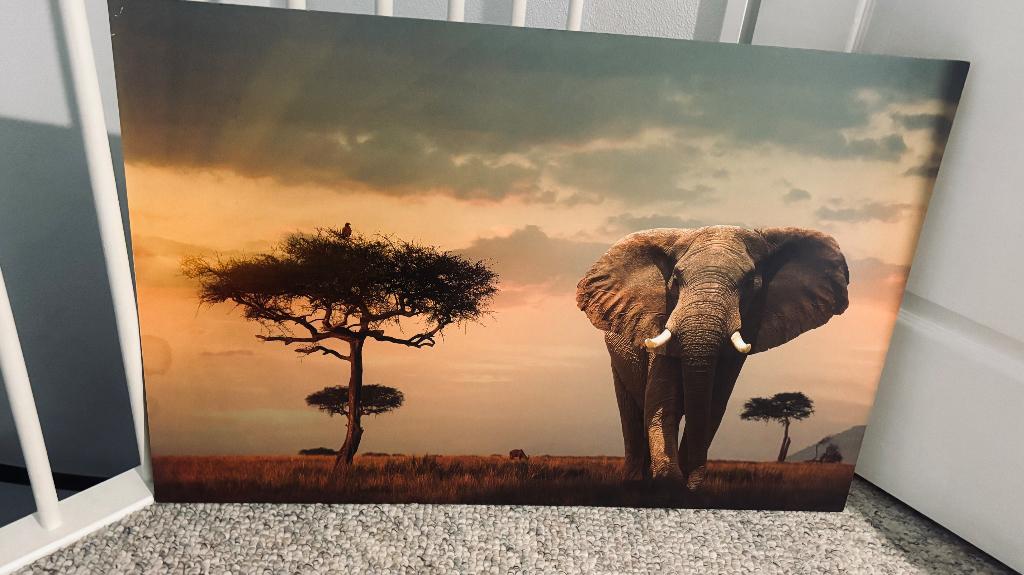 Wandpaneel MDF schilderij, Ophalen, Gebruikt, 90 cm, Hout