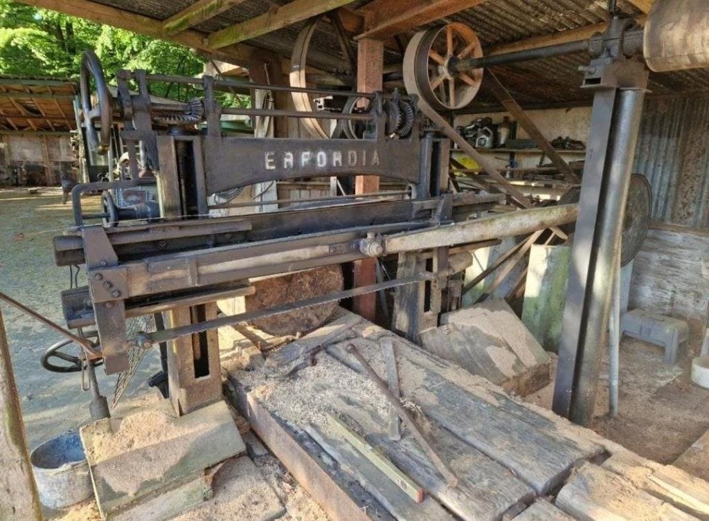 Eafordia Bomenzaag machine, Ophalen, Gebruikt, 70 mm of meer, Overige typen