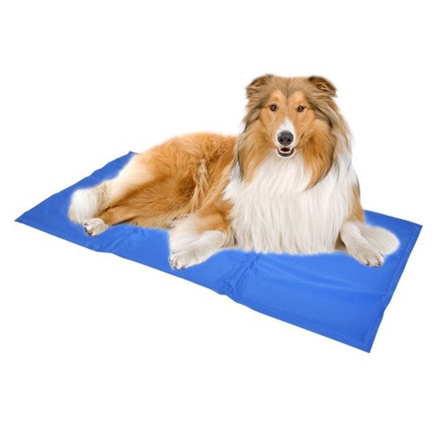 Duvo + koelmat l - 90x50cm blauw, Ophalen of Verzenden, Nieuw
