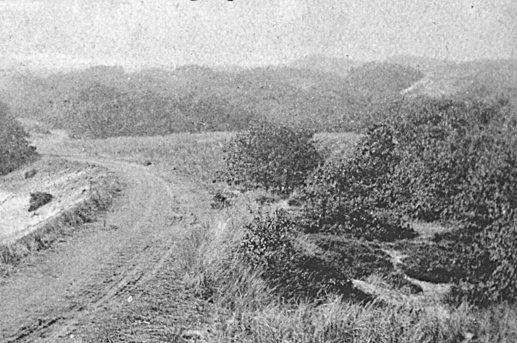 967640	Zwarte weg i d Duinen te Bergen NH	NH	Niet gelopen, Ophalen of Verzenden, Voor 1920, Gelopen, Noord-Holland