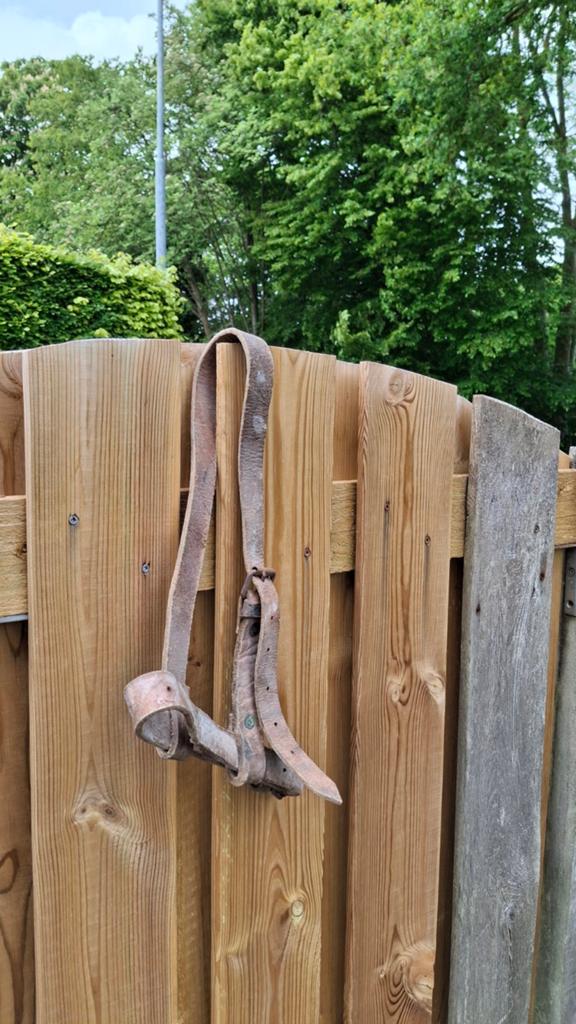 Halster voor paard, koe of ezel., Ophalen of Verzenden