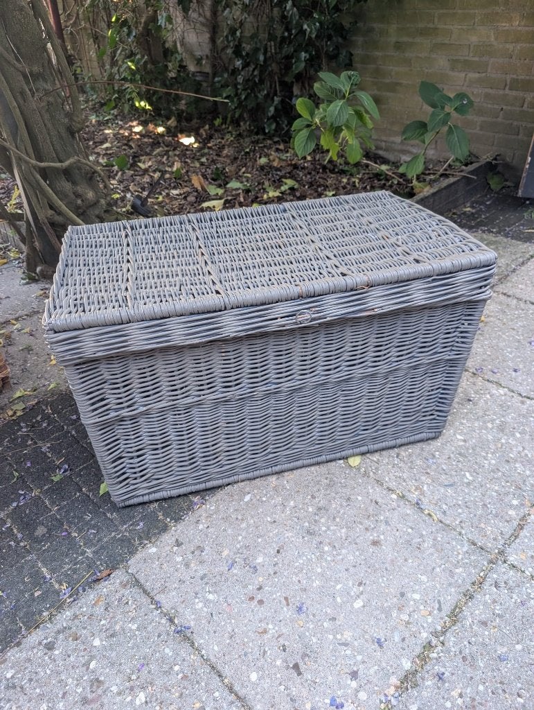 Grote grijze rieten opbergmand met deksel, Huis en Inrichting, Woonaccessoires | Schalen en Manden, Mand, Zo goed als nieuw, Riet