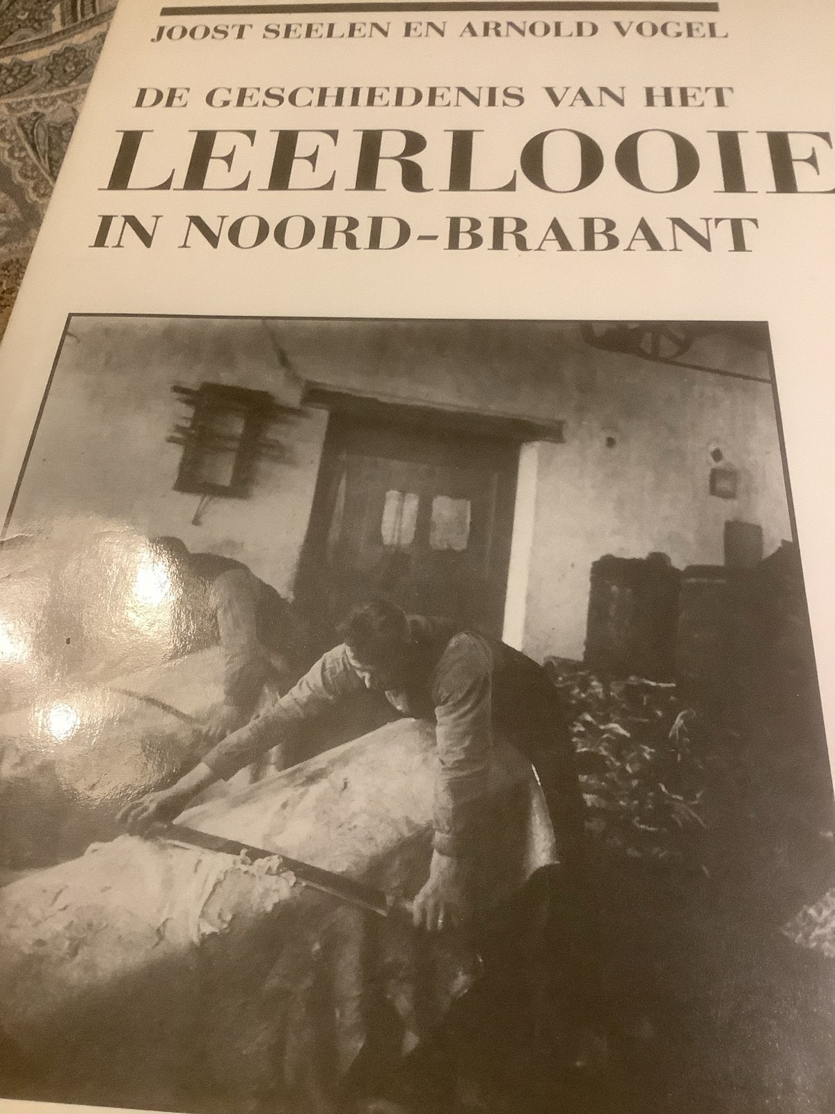 De Geschiedenis van het Leerlooien in Noord-Brabant, Ophalen of Verzenden, 20e eeuw of later, Gelezen, Europa