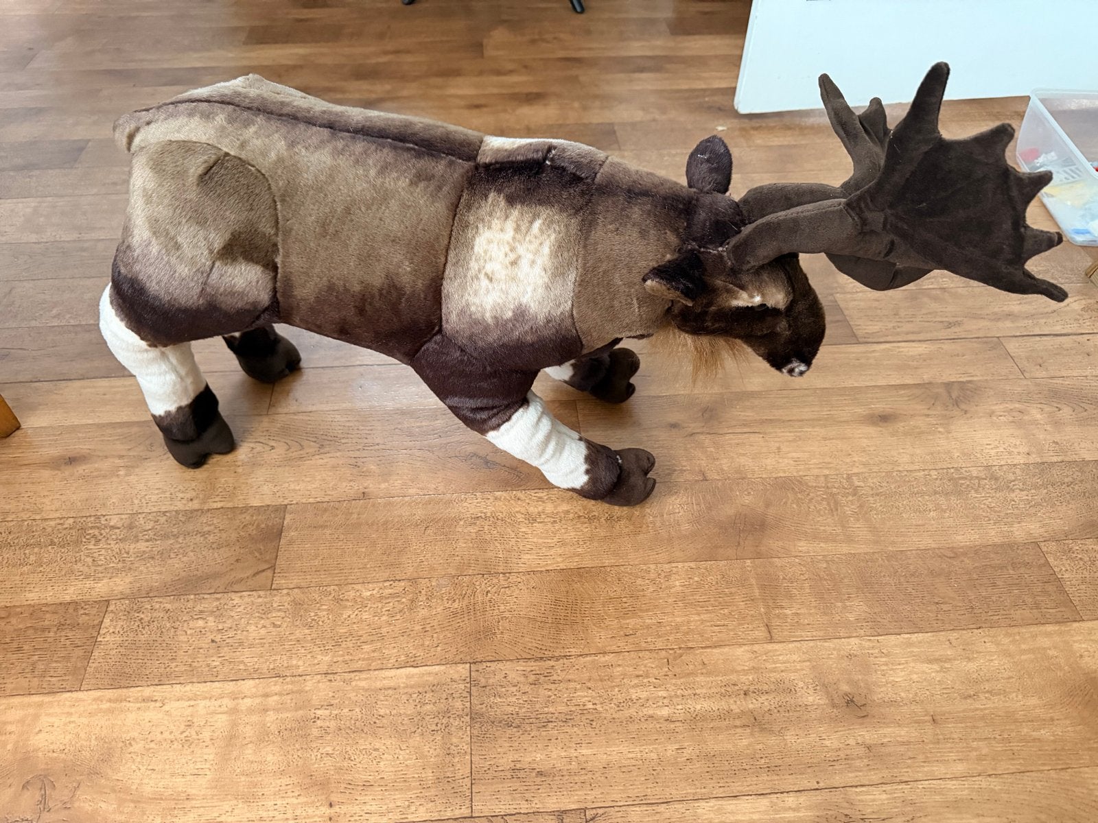 Groot Rendier Knuffel - Perfect voor Kerstdecoratie, Ophalen, Overige typen, Zo goed als nieuw, Middelgroot (20 tot 80 cm)