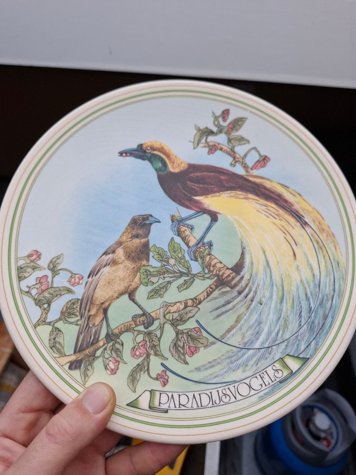 WNF Paradijsvogels wandbord - John Gould - Regina, Ophalen of Verzenden