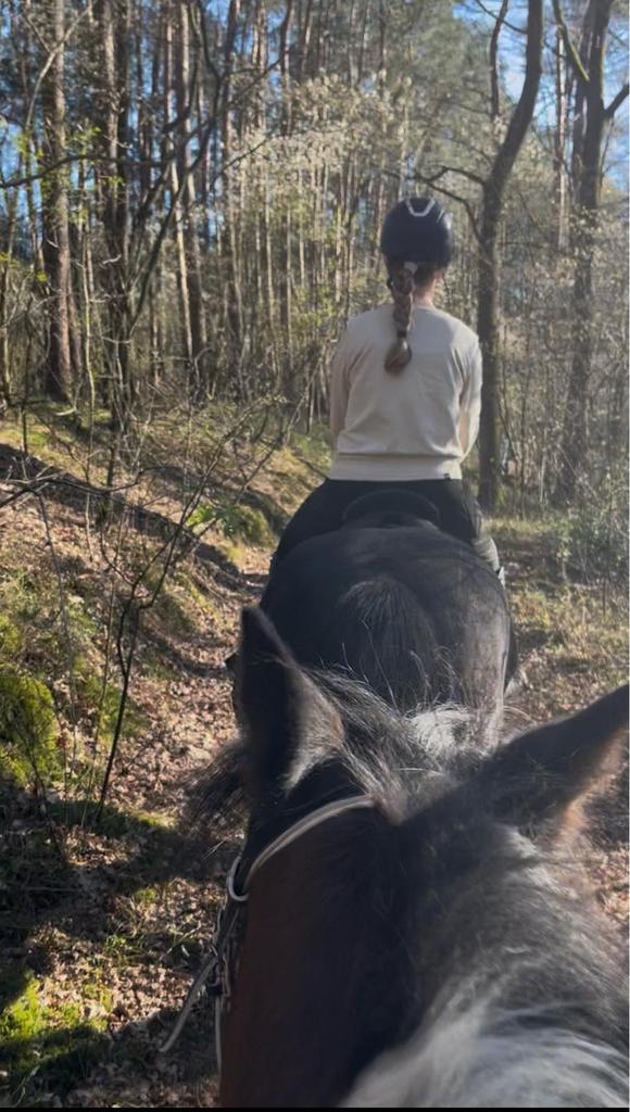 Gezocht verzorgpony, Dieren en Toebehoren, Paarden en Pony's | Overige Paardenspullen, Ophalen of Verzenden
