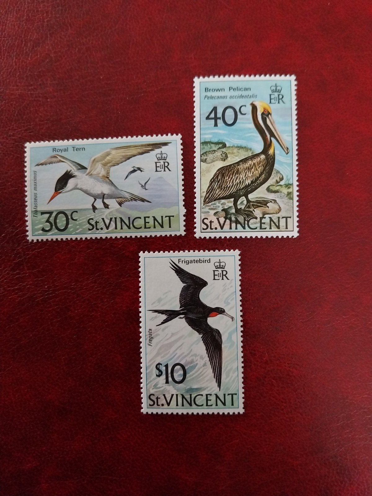 St Vincent 362364 vogels 1974 postfris mi 40 eu, Ophalen of Verzenden, Dier of Natuur
