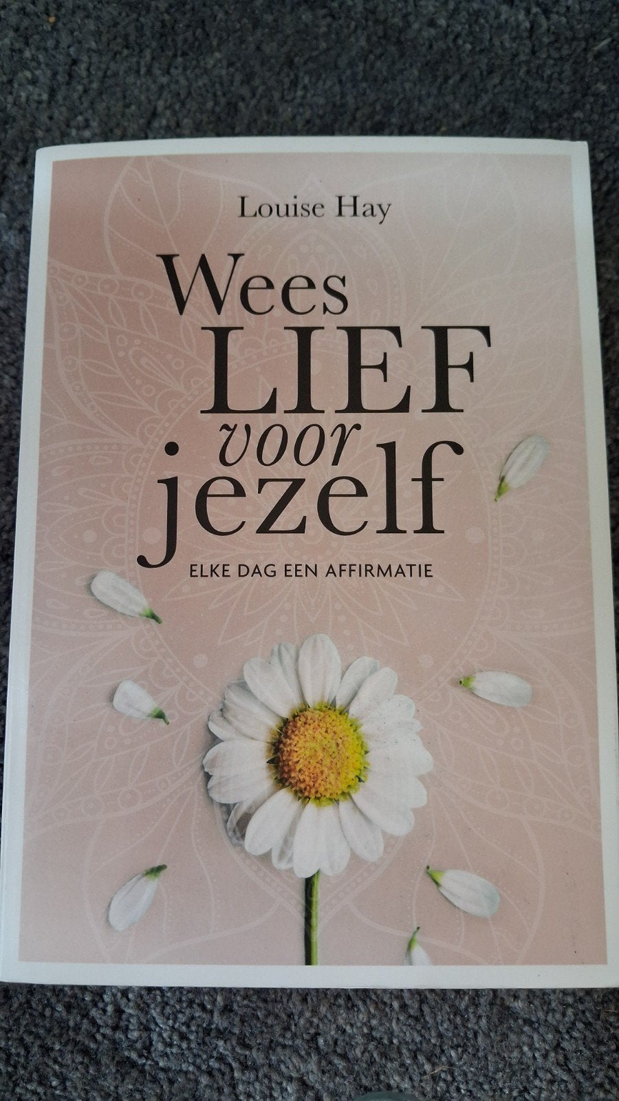 Wees LIEF voor jezelf - Louise Hay (Zo goed als nieuw), Boeken, Spiritualiteit algemeen, Overige typen, Ophalen of Verzenden, Zo goed als nieuw