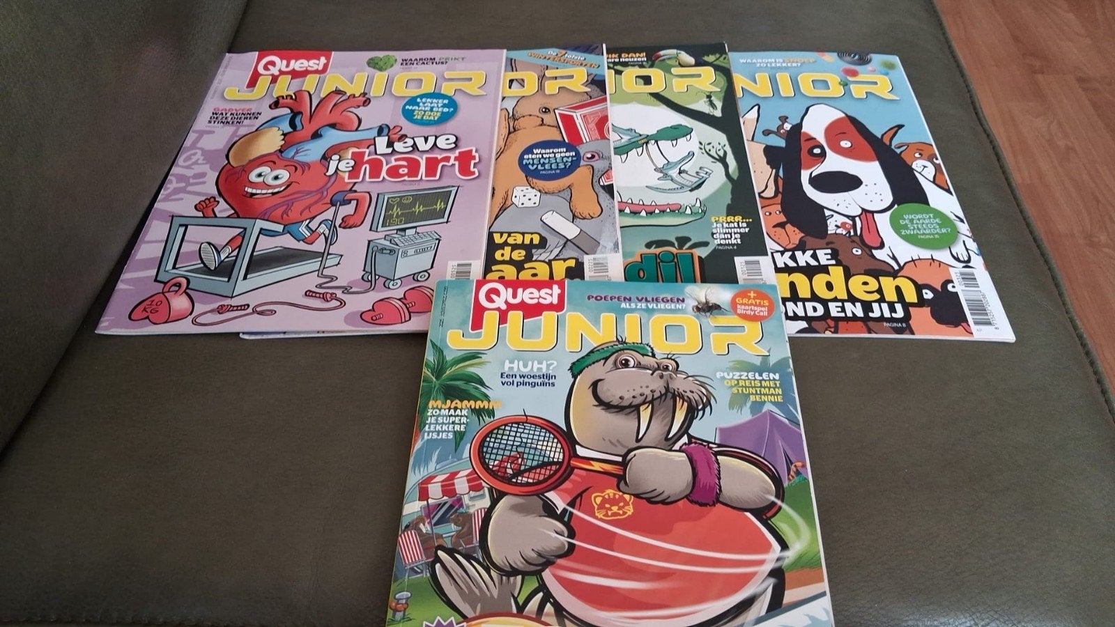 Quest Junior 2025: Vakantieboek + 4 losse tijdschrifte, Boeken, Ophalen of Verzenden, Gelezen, Wetenschap en Natuur