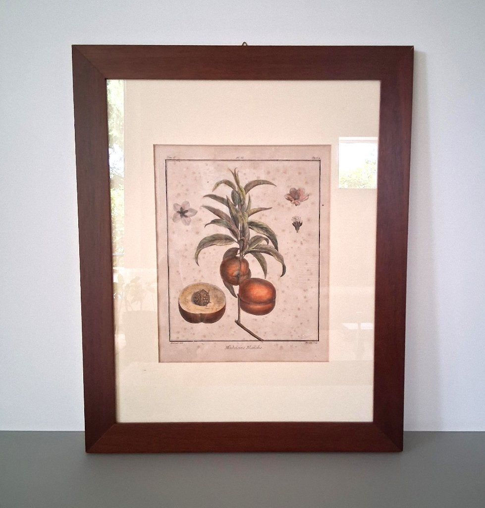Originele gravure Madeleine Blanche door Claude Aubriet, Ophalen, Origineel, 1600 - 1699, Gravure