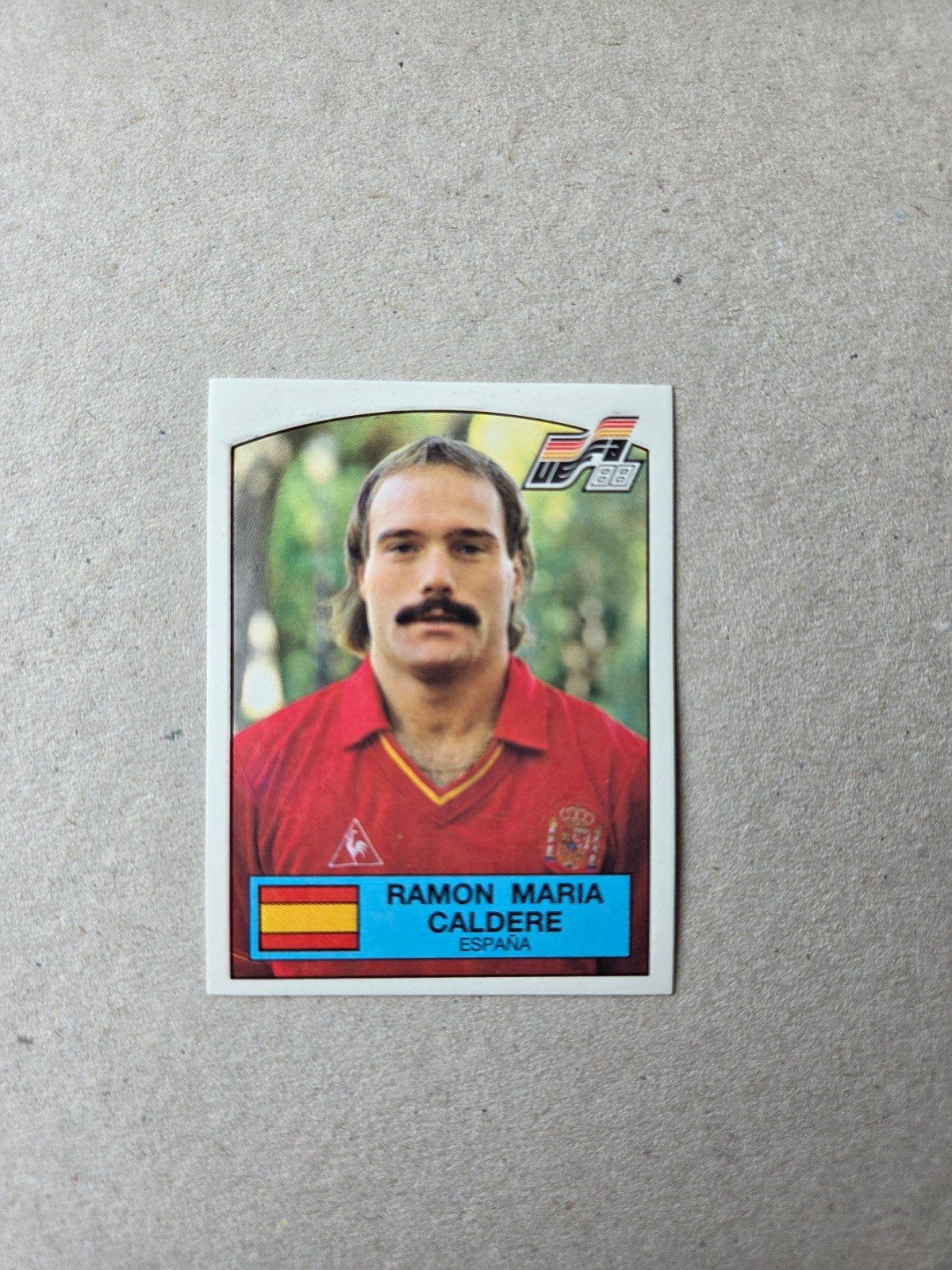 Panini EK 88, Verzamelen, Ophalen of Verzenden, Zo goed als nieuw, Buitenlandse clubs, Poster, Plaatje of Sticker