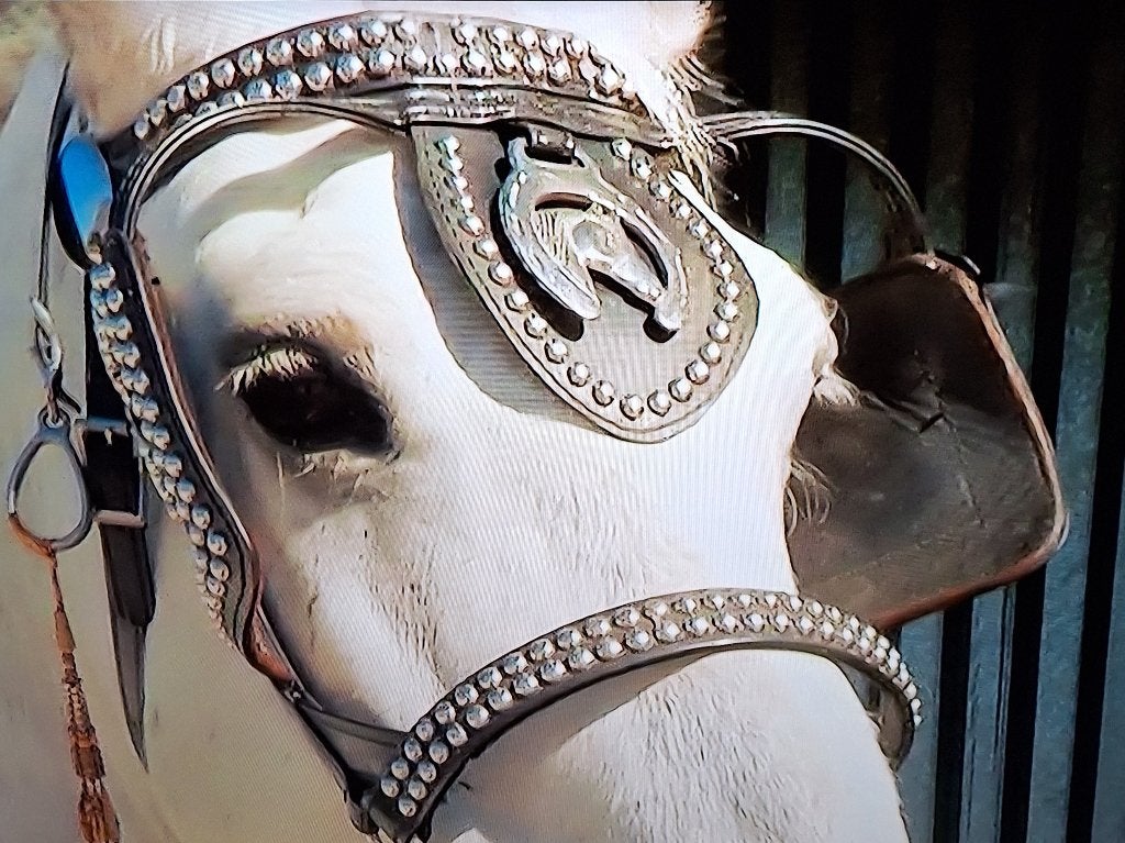 lot vintage antieke kleppermannetjes medaillon horse brasses, Ophalen of Verzenden, Gebruikt, Overige disciplines