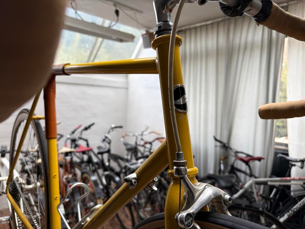 Unieke Giant fixie, Fietsen en Brommers, Fietsen | Racefietsen, 10 tot 15 versnellingen, Heren, Zo goed als nieuw, 57 tot 61 cm