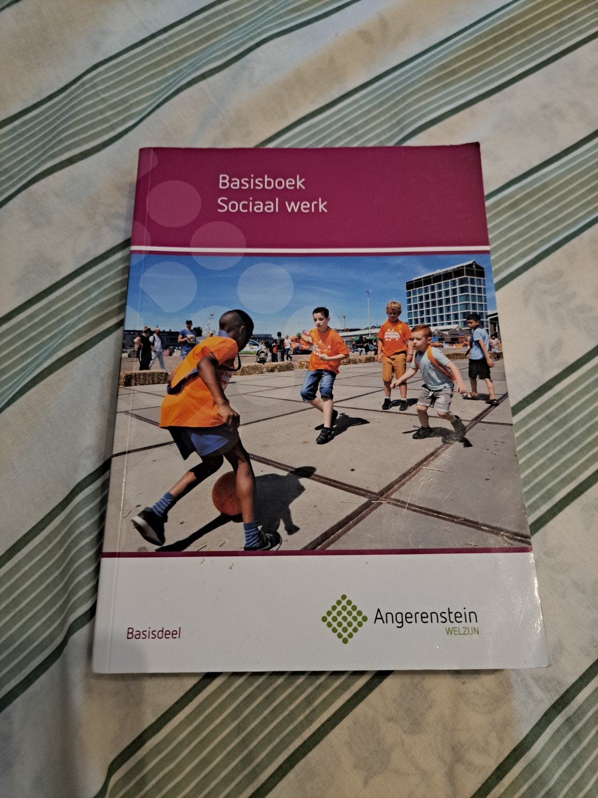 Basisboek Sociaal Werk - Angerenstein Welzijn, Boeken, Studieboeken en Cursussen, Gelezen, Ophalen of Verzenden, MBO, Angerenstein Welzijn