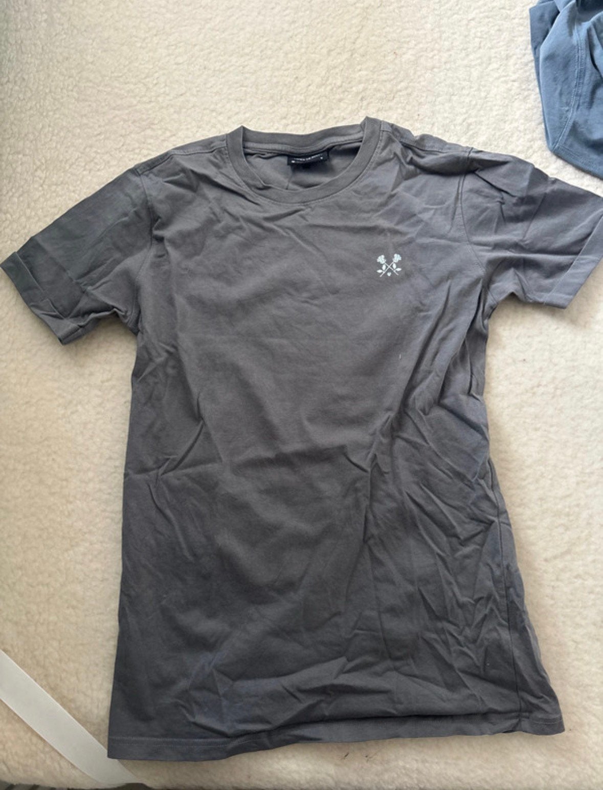 Grijs Ashes to Dust t-shirt, Ophalen of Verzenden, Zo goed als nieuw, Maat 46 (S) of kleiner, Grijs
