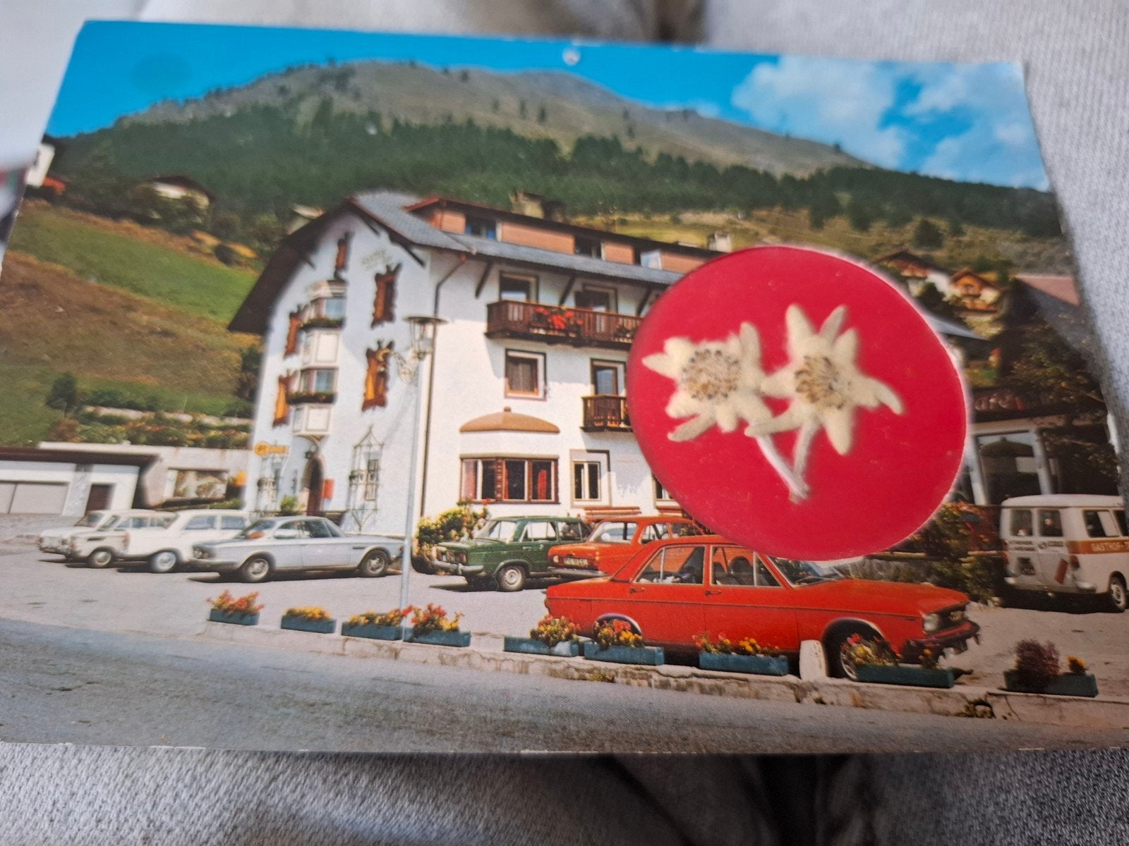 Ansichtkaart edelweiss, Ophalen of Verzenden, 1960 tot 1980, Ongelopen, Oostenrijk