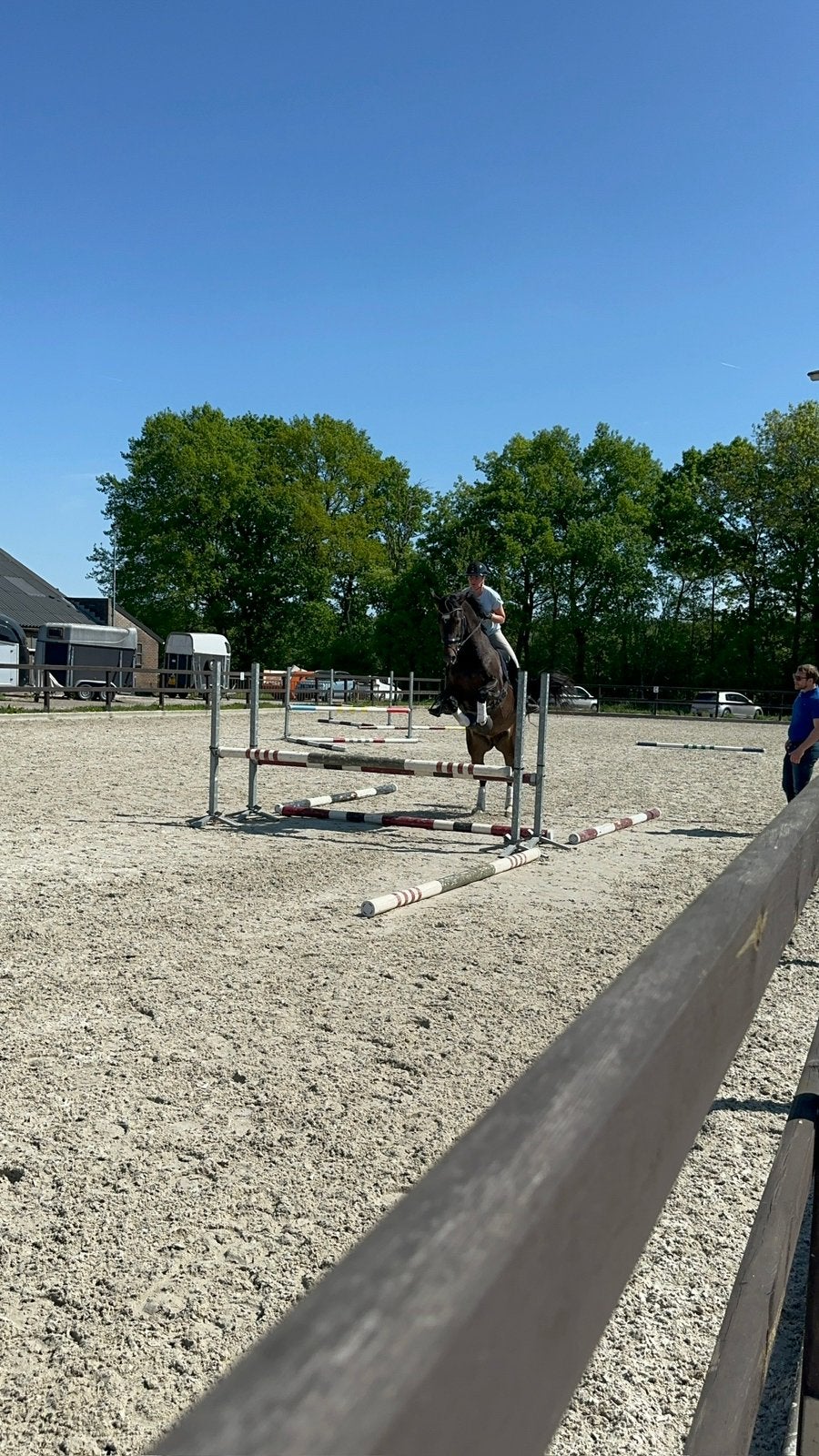 Plek vrij op pensionstal in Leersum!, Dieren en Toebehoren, Stalling en Weidegang, Weidegang, 2 of 3 paarden of pony's
