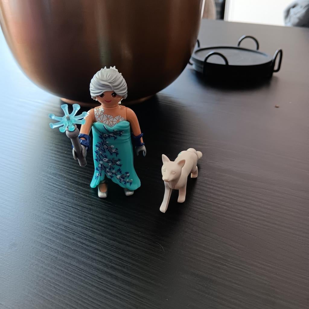 Playmobil 9353 Winterfee met Wolfjes, Ophalen of Verzenden, Zo goed als nieuw