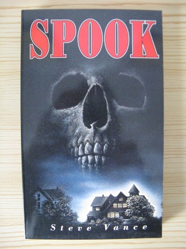Spook, een thriller van Steve Vance, Boeken, Thrillers, Zo goed als nieuw, Ophalen of Verzenden