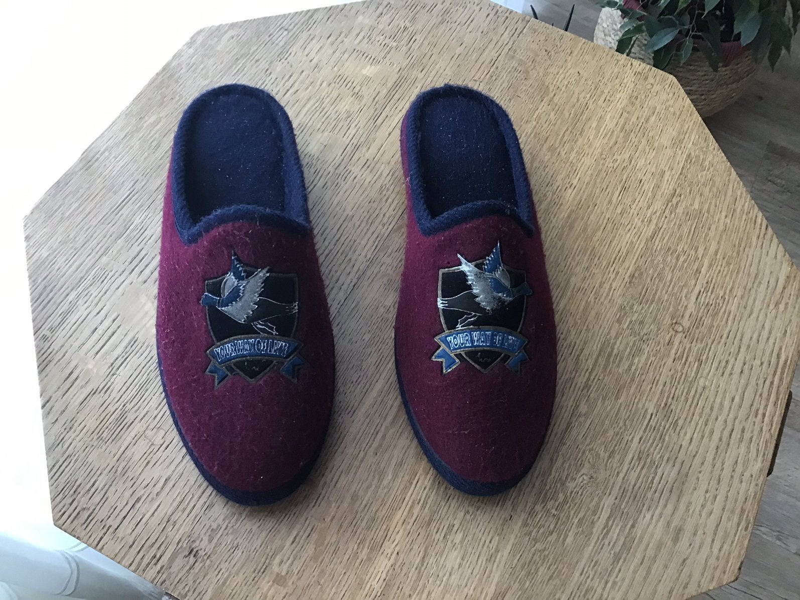 Heren pantoffels. Maat 41/42., Ophalen of Verzenden, Zo goed als nieuw, Pantoffels of Sloffen