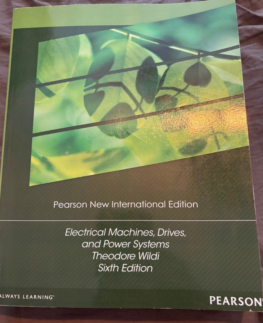 Electrical machines, Drives, and power systems Wildi 6e ed., Boeken, Studieboeken en Cursussen, Ophalen of Verzenden, Beta, Nieuw