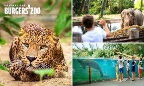 2 tickets Burgers Zoo  Arnhem, Tickets en Kaartjes, Recreatie | Dierentuinen, Twee personen, Ticket of Toegangskaart
