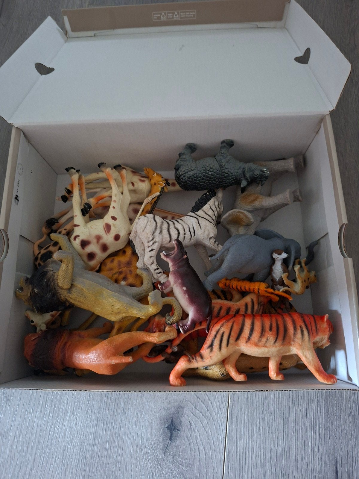 wilde dieren, Ophalen of Verzenden, Jongen of Meisje