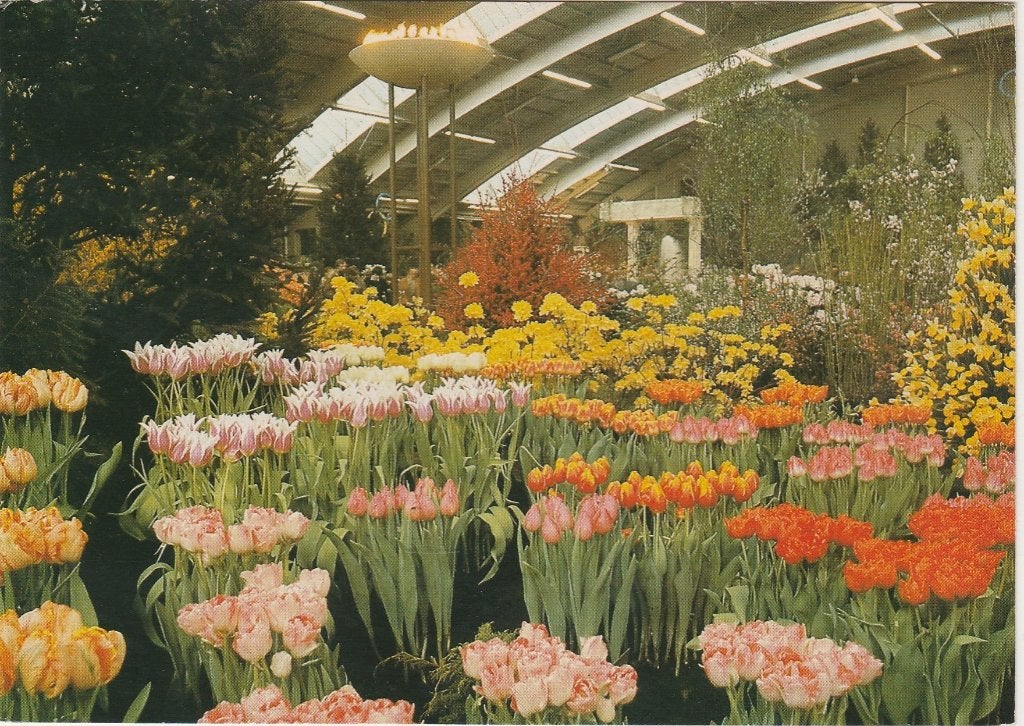 BOVENKARSPEL Westfriese Flora, Verzenden, 1960 tot 1980, Ongelopen, Noord-Holland